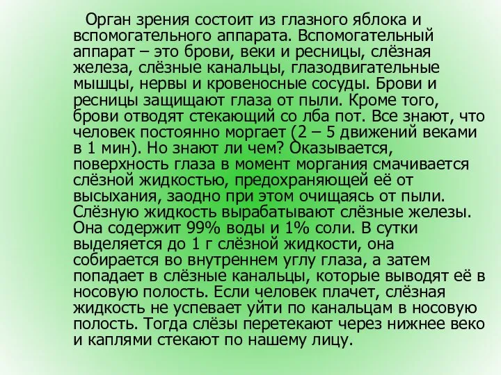 Орган зрения состоит из глазного яблока и вспомогательного аппарата. Вспомогательный аппарат