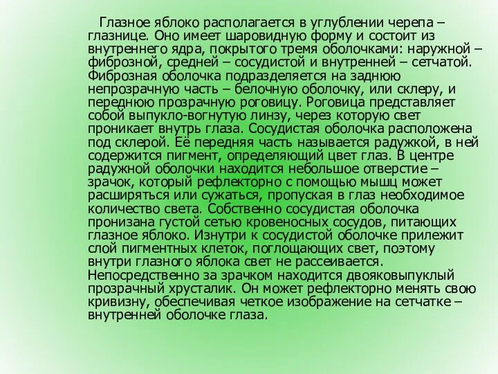 Глазное яблоко располагается в углублении черепа – глазнице. Оно имеет шаровидную