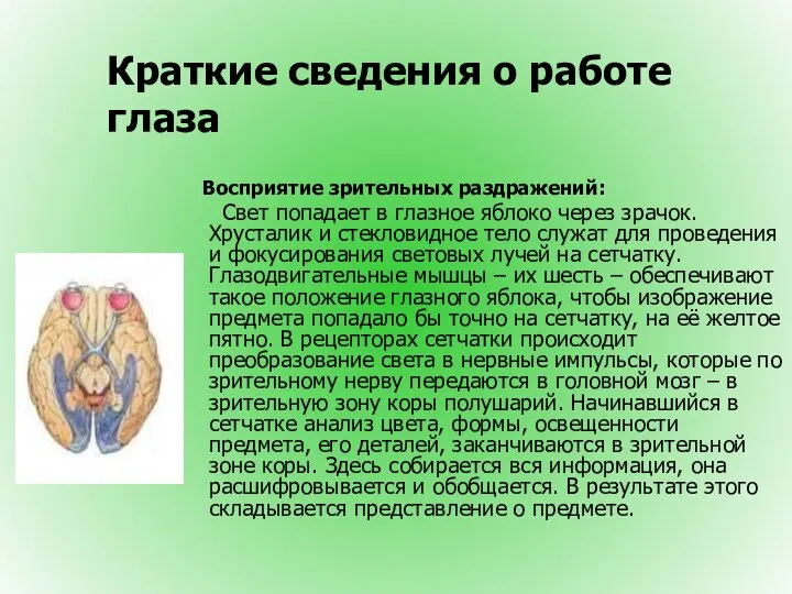 Краткие сведения о работе глаза Восприятие зрительных раздражений: Свет попадает в