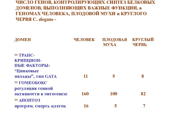 ЧИСЛО ГЕНОВ, КОНТРОЛИРУЮЩИХ СИНТЕЗ БЕЛКОВЫХ ДОМЕНОВ, ВЫПОЛНЯЮЩИХ ВАЖНЫЕ ФУНКЦИИ, в ГЕНОМАХ