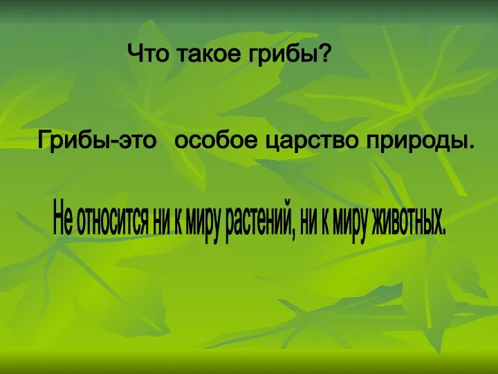 Что такое грибы? Грибы-это особое царство природы. Не относится ни к