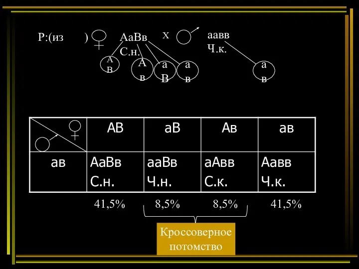 Р:(из ) АаВв С.н. Х аавв Ч.к. 41,5% 8,5% 8,5% 41,5% Кроссоверное потомство