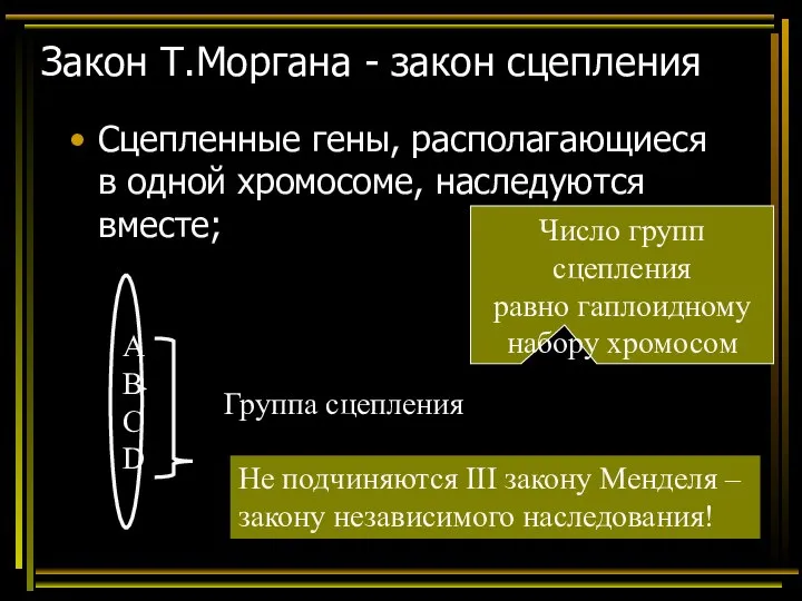 Закон Т.Моргана - закон сцепления Сцепленные гены, располагающиеся в одной хромосоме,