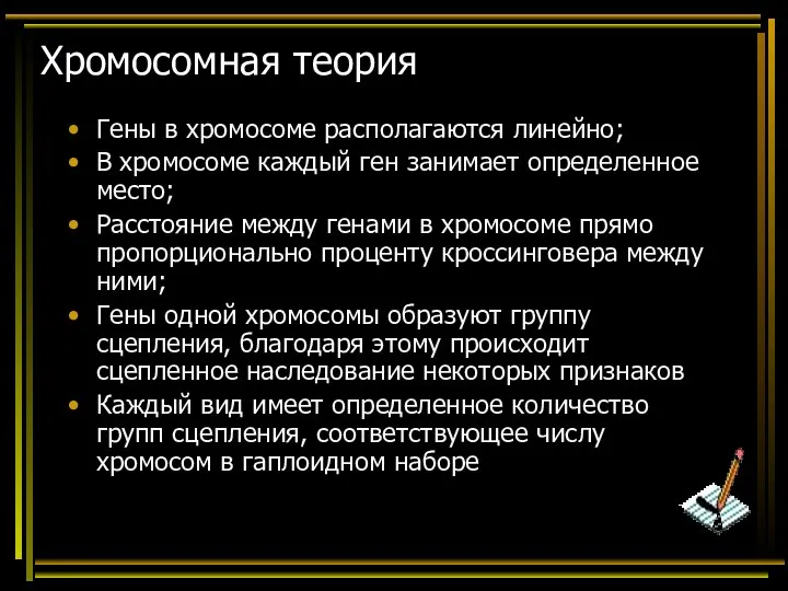 Хромосомная теория Гены в хромосоме располагаются линейно; В хромосоме каждый ген