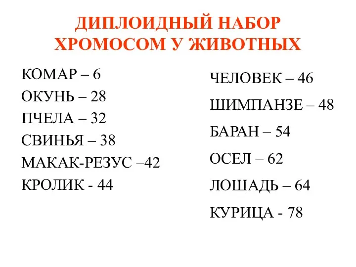 ДИПЛОИДНЫЙ НАБОР ХРОМОСОМ У ЖИВОТНЫХ КОМАР – 6 ОКУНЬ – 28