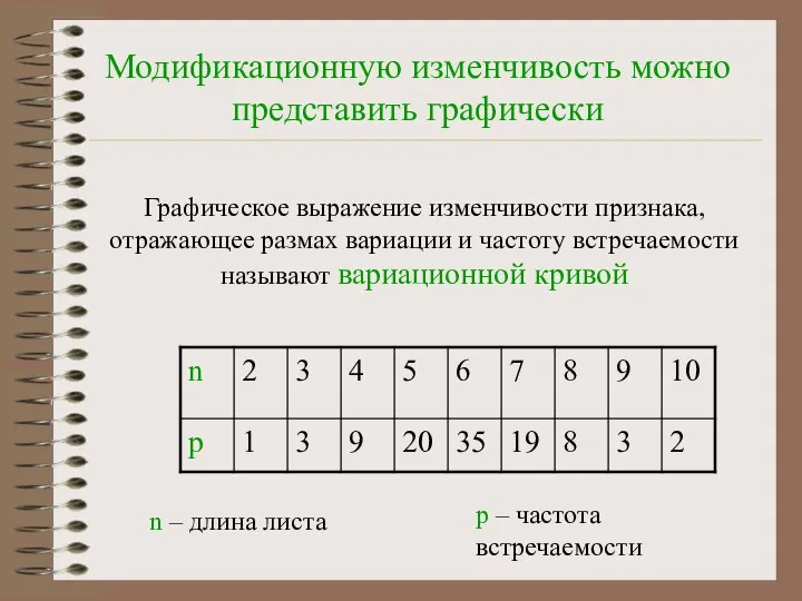 Модификационную изменчивость можно представить графически Графическое выражение изменчивости признака, отражающее размах