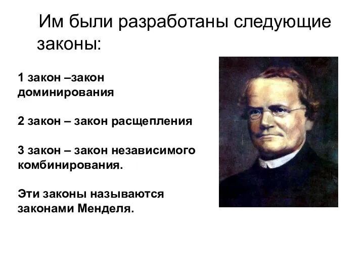 Им были разработаны следующие законы: 1 закон –закон доминирования 2 закон