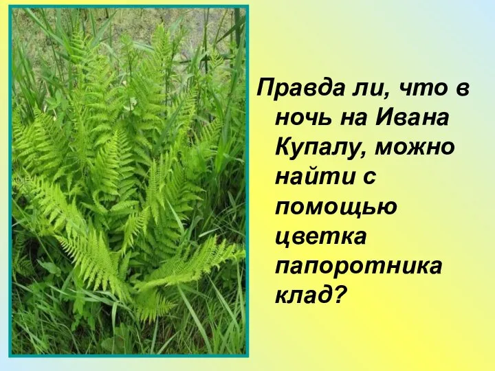 Правда ли, что в ночь на Ивана Купалу, можно найти с помощью цветка папоротника клад?