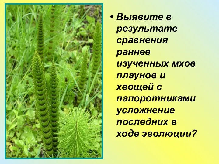 Выявите в результате сравнения раннее изученных мхов плаунов и хвощей с