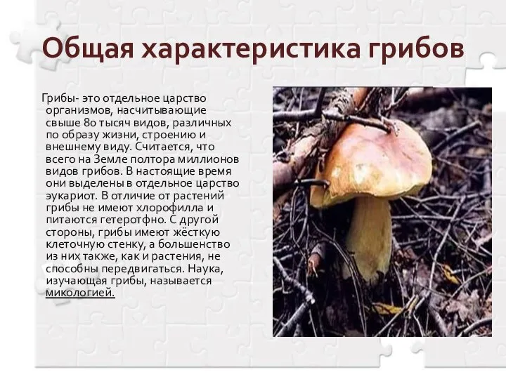 Общая характеристика грибов Грибы- это отдельное царство организмов, насчитывающие свыше 80