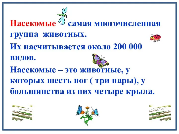 Насекомые - самая многочисленная группа животных. Их насчитывается около 200 000