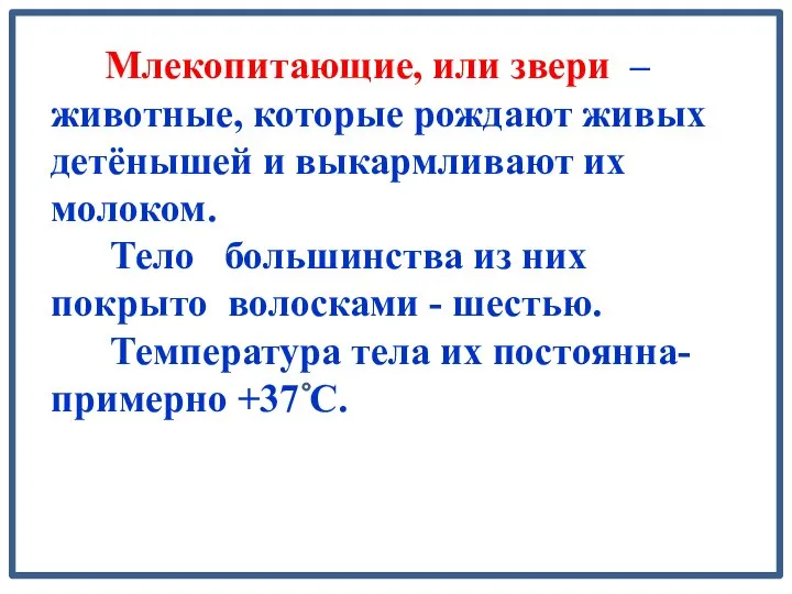 Млекопитающие, или звери – животные, которые рождают живых детёнышей и выкармливают