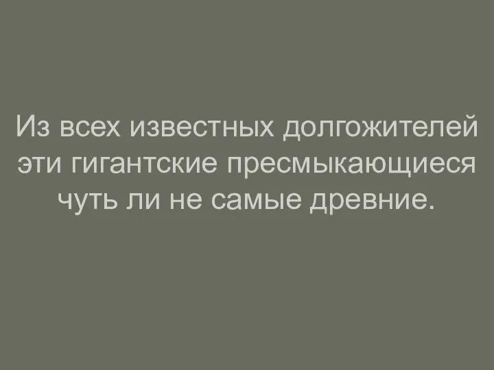 Из всех известных долгожителей эти гигантские пресмыкающиеся чуть ли не самые древние.