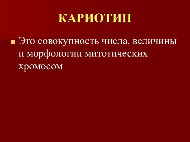 КАРИОТИП Это совокупность числа, величины и морфологии митотических хромосом