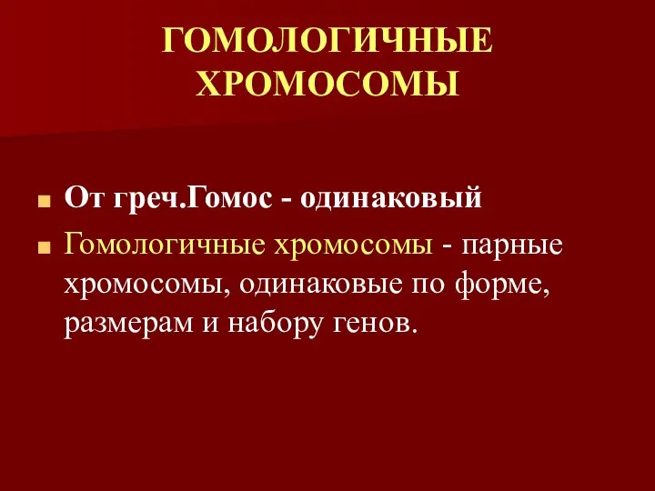 ГОМОЛОГИЧНЫЕ ХРОМОСОМЫ От греч.Гомос - одинаковый Гомологичные хромосомы - парные хромосомы,