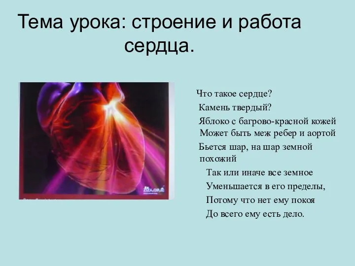 Тема урока: строение и работа сердца. Что такое сердце? Камень твердый?