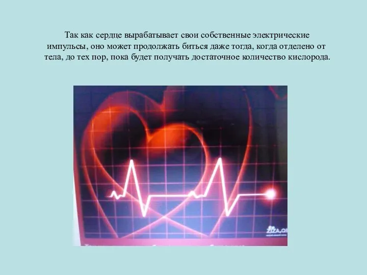 Так как сердце вырабатывает свои собственные электрические импульсы, оно может продолжать