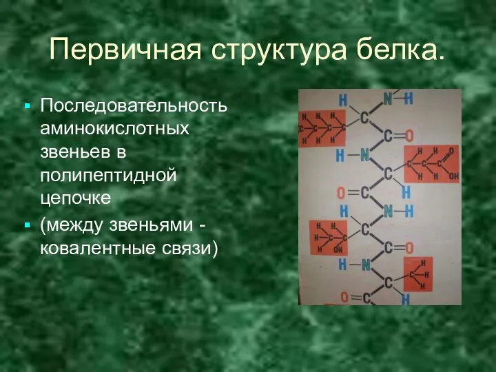 Первичная структура белка. Последовательность аминокислотных звеньев в полипептидной цепочке (между звеньями -ковалентные связи)