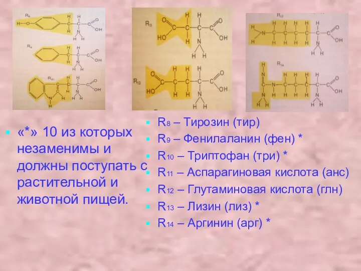 «*» 10 из которых незаменимы и должны поступать с растительной и