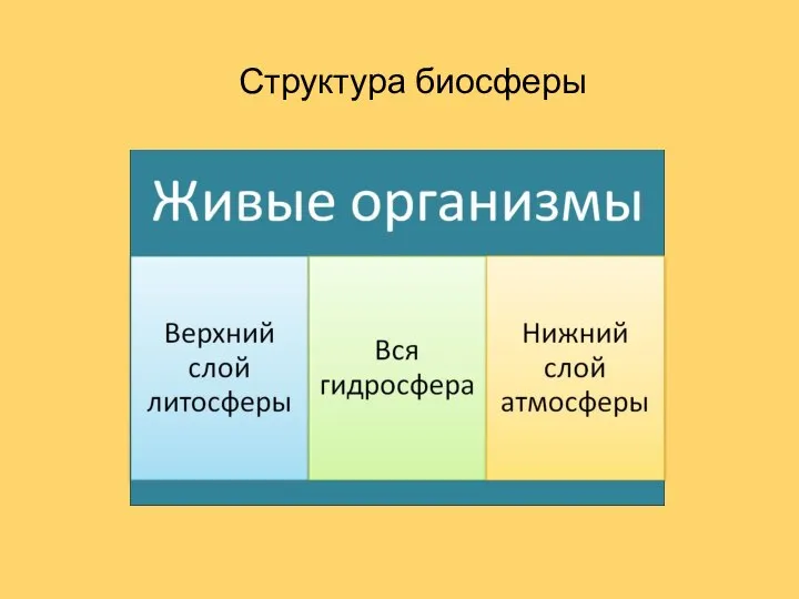 Структура биосферы