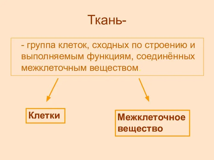 Ткань- - группа клеток, сходных по строению и выполняемым функциям, соединённых межклеточным веществом. Клетки Межклеточное вещество