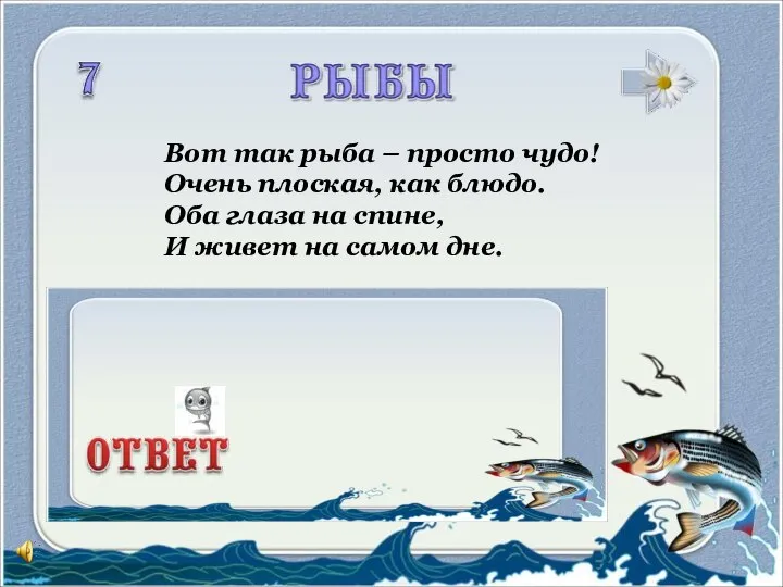 Вот так рыба – просто чудо! Очень плоская, как блюдо. Оба