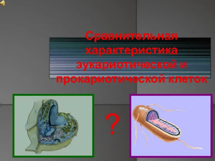 Сравнительная характеристика эукариотической и прокариотической клеток ?