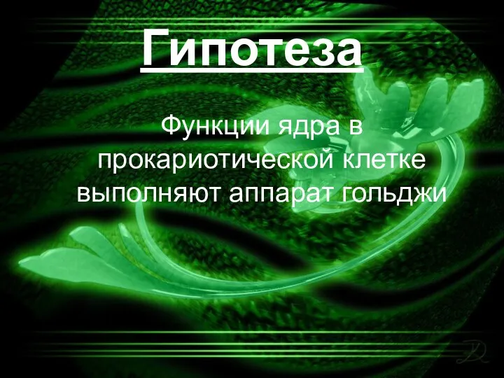 Гипотеза Функции ядра в прокариотической клетке выполняют аппарат гольджи