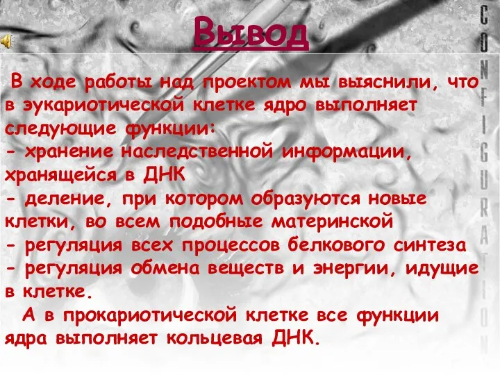 Вывод В ходе работы над проектом мы выяснили, что в эукариотической