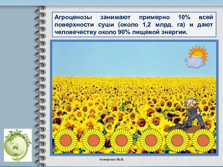 Агроценозы занимают примерно 10% всей поверхности суши (около 1,2 млрд. га)