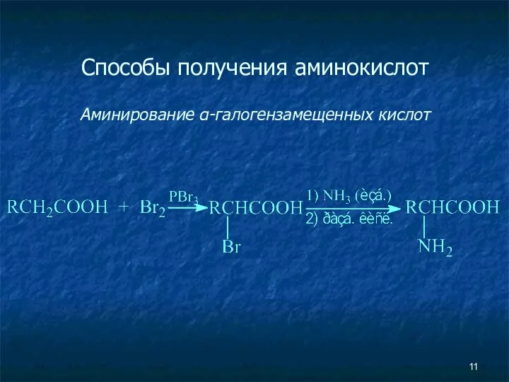 Способы получения аминокислот Аминирование α-галогензамещенных кислот