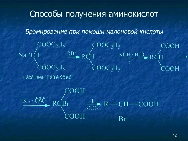 Способы получения аминокислот Бромирование при помощи малоновой кислоты