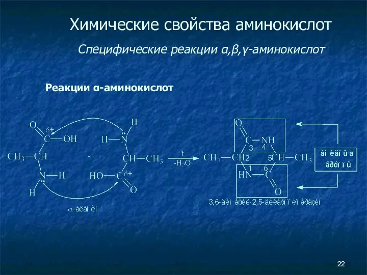 Химические свойства аминокислот Специфические реакции α,β,γ-аминокислот Реакции α-аминокислот