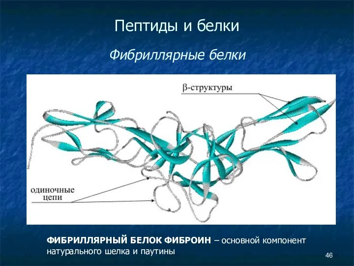 Пептиды и белки Фибриллярные белки ФИБРИЛЛЯРНЫЙ БЕЛОК ФИБРОИН – основной компонент натурального шелка и паутины