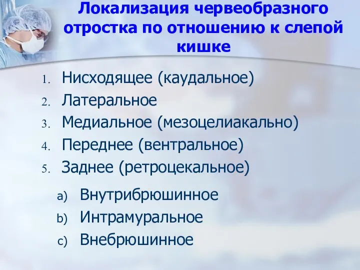 Локализация червеобразного отростка по отношению к слепой кишке Нисходящее (каудальное) Латеральное