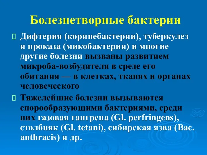 Болезнетворные бактерии Дифтерия (коринебактерии), туберкулез и проказа (микобактерии) и многие другие