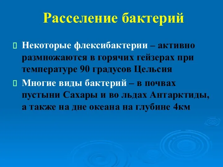 Расселение бактерий Некоторые флексибактерии – активно размножаются в горячих гейзерах при