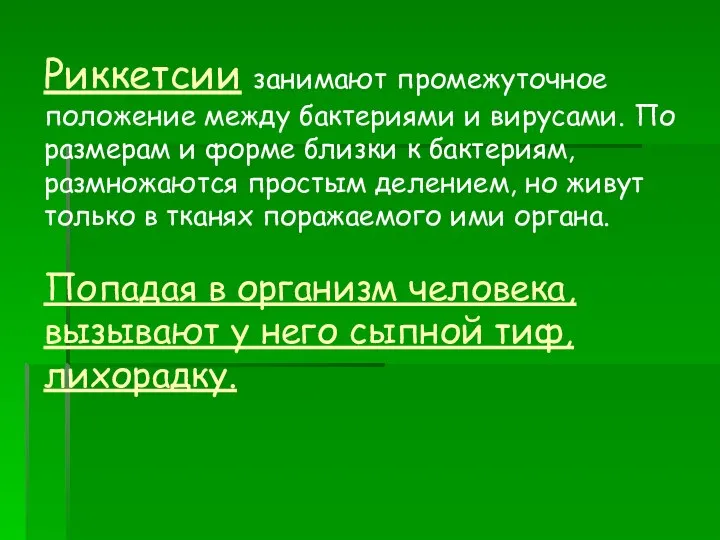 Риккетсии занимают промежуточное положение между бактериями и вирусами. По размерам и