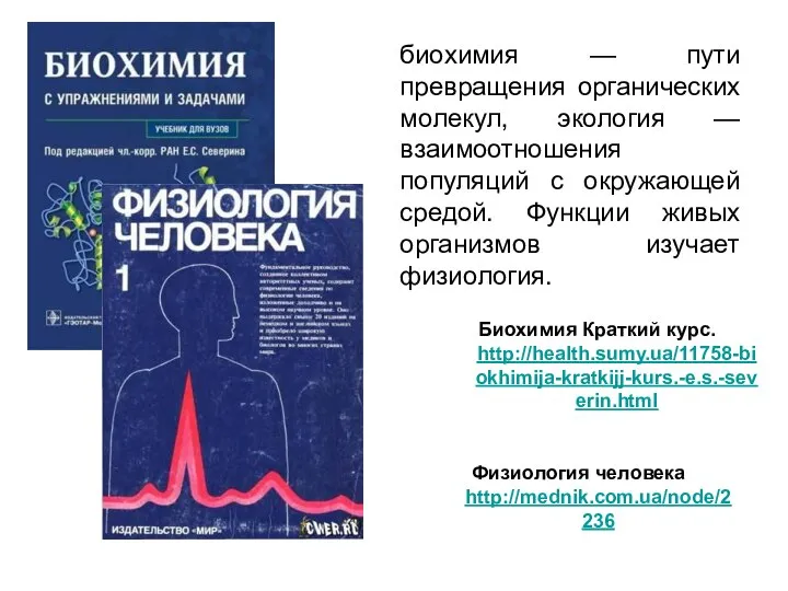 биохимия — пути превращения органических молекул, экология —взаимоотношения популяций с окружающей