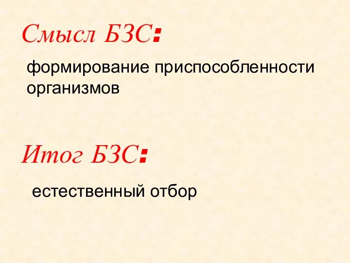 Смысл БЗС: формирование приспособленности организмов Итог БЗС: естественный отбор