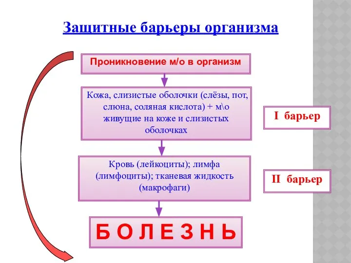 Проникновение м/о в организм Кожа, слизистые оболочки (слёзы, пот, слюна, соляная