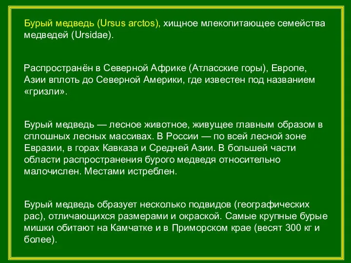 Бурый медведь (Ursus arctos), хищное млекопитающее семейства медведей (Ursidae). Распространён в