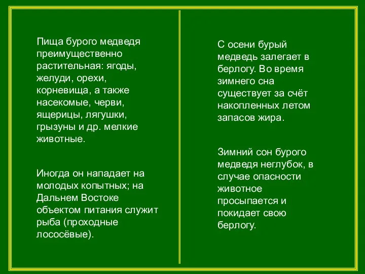 Пища бурого медведя преимущественно растительная: ягоды, желуди, орехи, корневища, а также