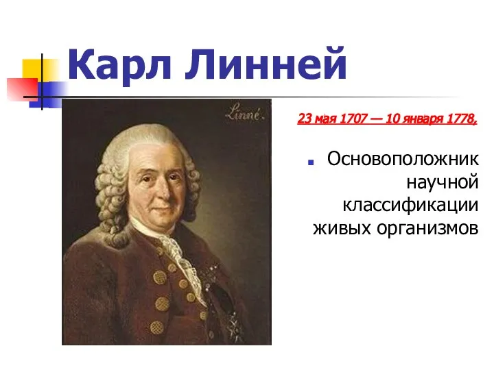 Карл Линней 23 мая 1707 — 10 января 1778, Основоположник научной классификации живых организмов