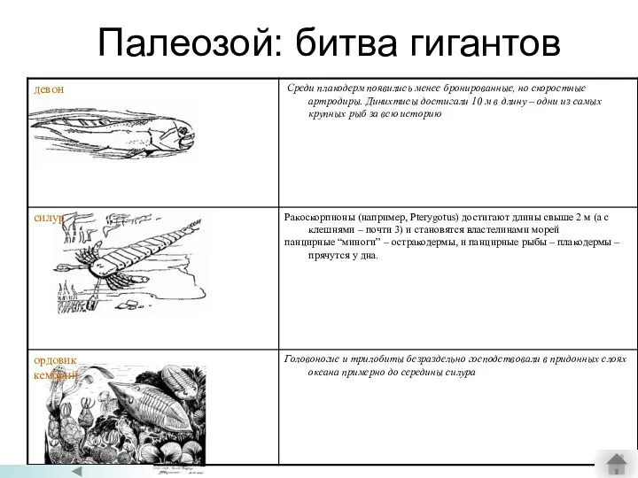 Палеозой: битва гигантов