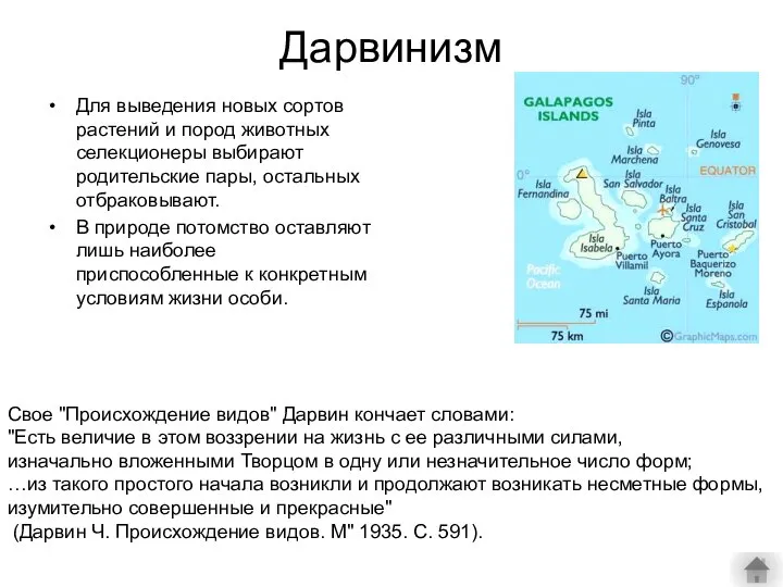 Дарвинизм Для выведения новых сортов растений и пород животных селекционеры выбирают