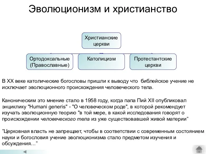 Эволюционизм и христианство В XX веке католические богословы пришли к выводу