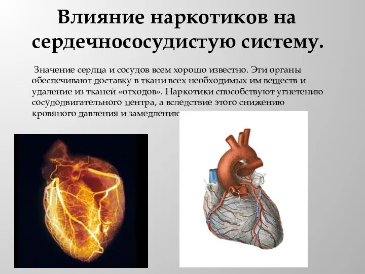 Влияние наркотиков на сердечнососудистую систему. Значение сердца и сосудов всем хорошо