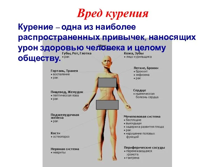 Вред курения Курение – одна из наиболее распространенных привычек, наносящих урон здоровью человека и целому обществу.