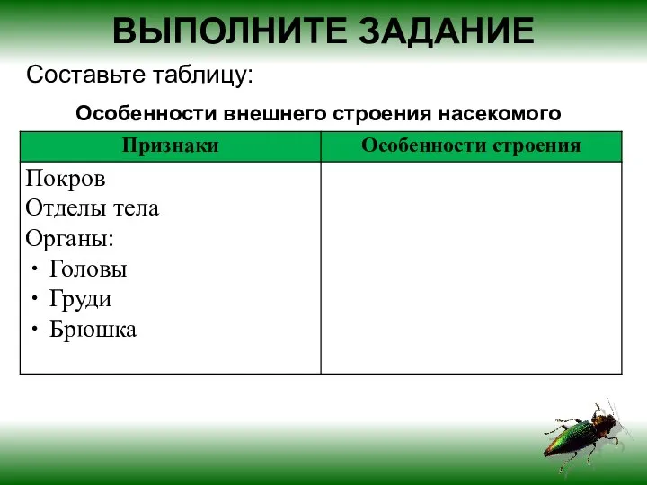 Особенности внешнего строения насекомого ВЫПОЛНИТЕ ЗАДАНИЕ Составьте таблицу: